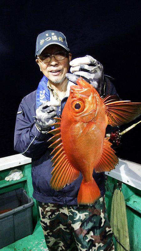 第三むつりょう丸 釣果