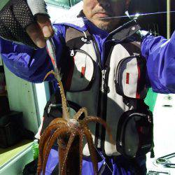 第三むつりょう丸 釣果