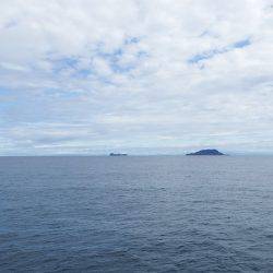 第三むつりょう丸 釣果