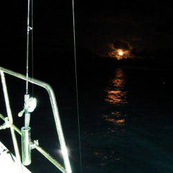 第三むつりょう丸 釣果