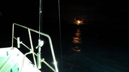 第三むつりょう丸 釣果