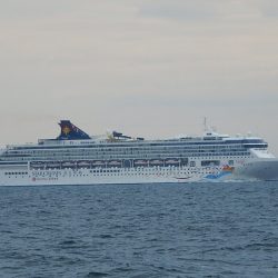 第三むつりょう丸 釣果