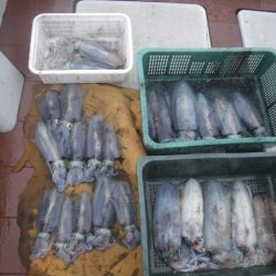 小海途 釣果
