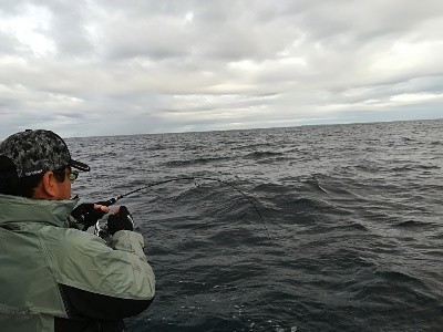 IDATEN(イダテン) 釣果