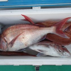 第二むつ漁丸 釣果