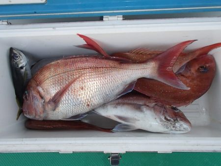 第二むつ漁丸 釣果