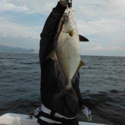 開進丸 釣果
