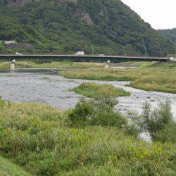 狩野川(狩野川漁業協同組合) 釣果