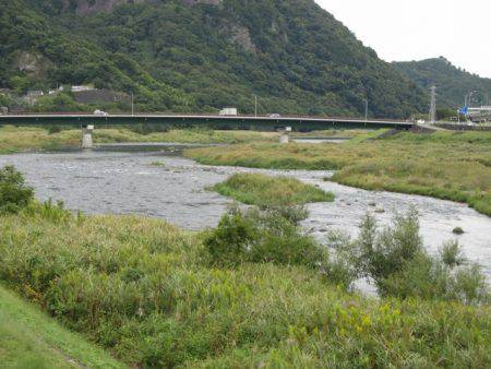 狩野川(狩野川漁業協同組合) 釣果
