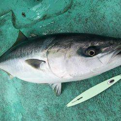 広進丸 釣果