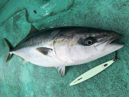広進丸 釣果