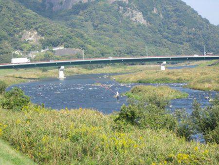 狩野川(狩野川漁業協同組合) 釣果