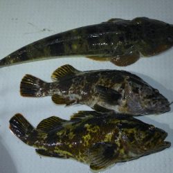 TOPGUN名古屋 釣果