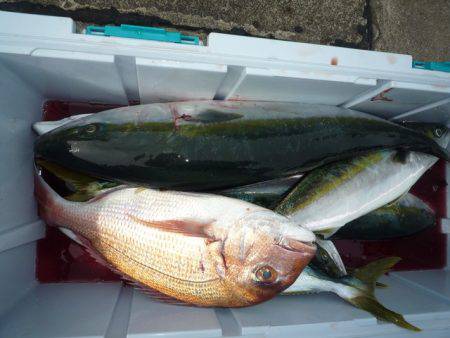 浅間丸 釣果