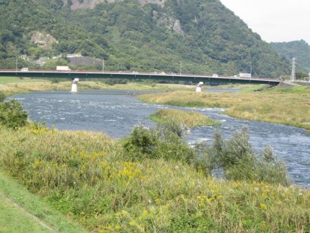 狩野川(狩野川漁業協同組合) 釣果