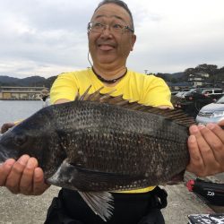 由良渡船 釣果