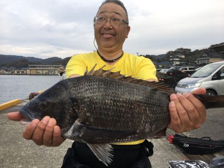 由良渡船 釣果