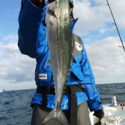 IDATEN(イダテン) 釣果