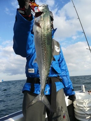 IDATEN(イダテン) 釣果