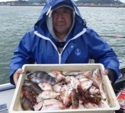 石川丸 釣果
