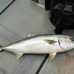 IDATEN(イダテン) 釣果