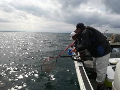 IDATEN（イダテン） 釣果