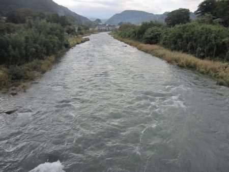 狩野川(狩野川漁業協同組合) 釣果