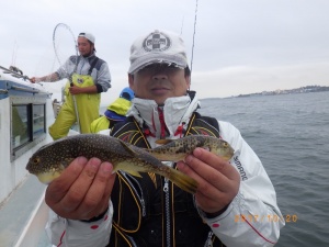 石川丸 釣果