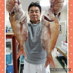 桑田観光 釣果