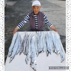 桑田観光 釣果