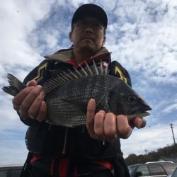 由良渡船 釣果