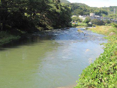 狩野川(狩野川漁業協同組合) 釣果