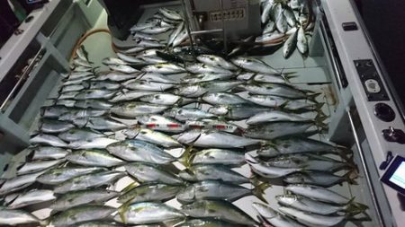 スカイマリン 釣果