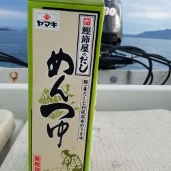 Magic(マジック) 釣果