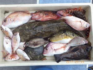 石川丸 釣果
