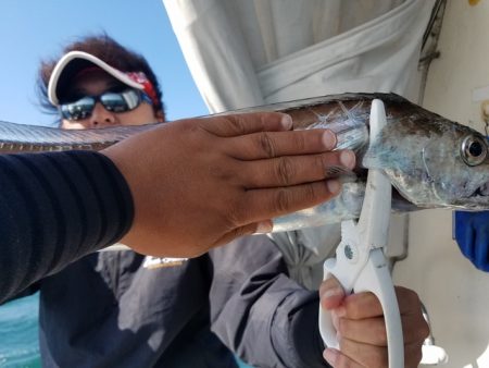 遊漁船 ニライカナイ 釣果