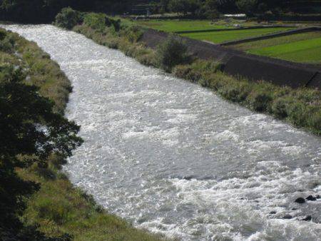 狩野川(狩野川漁業協同組合) 釣果