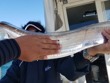 遊漁船 ニライカナイ 釣果