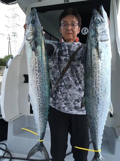 ミタチ丸 釣果
