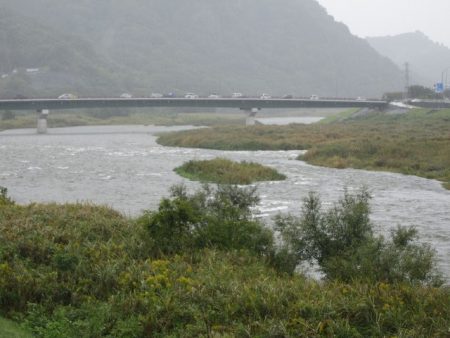 狩野川(狩野川漁業協同組合) 釣果