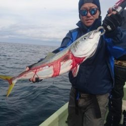 気仙沼 つり丸 釣果