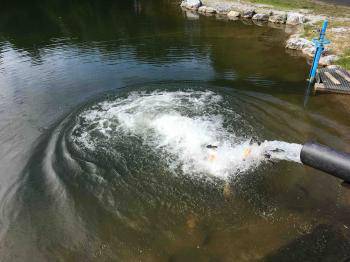 フィッシング サンクチュアリ 釣果
