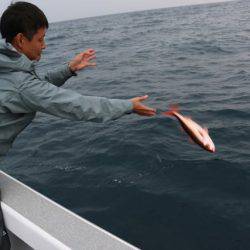 へいみつ丸 釣果