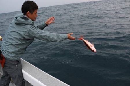 へいみつ丸 釣果