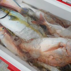 こうゆう丸 釣果