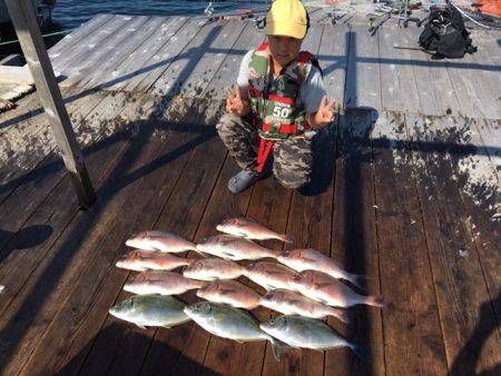 由良海上釣り堀 海人 釣果