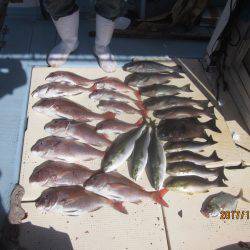 第十八吉栄丸 釣果