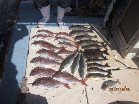 第十八吉栄丸 釣果