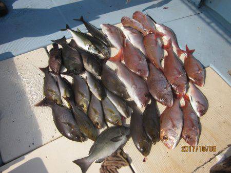 第十八吉栄丸 釣果