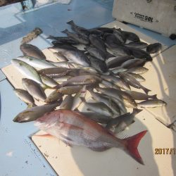 第十八吉栄丸 釣果